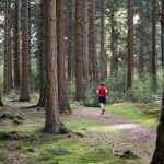 Orientering – en sport for både små og store