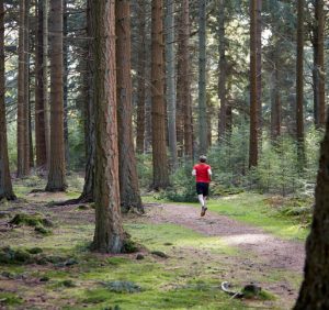 Orientering – en sport for både små og store